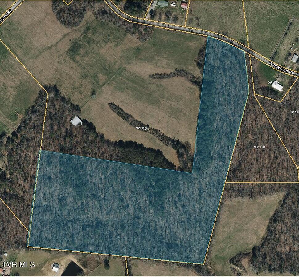 TBD Wildwood Rd, Mosheim, TN 37818 - photo 1