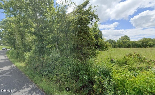TBD Wildwood Rd, Mosheim, TN 37818 - photo 3
