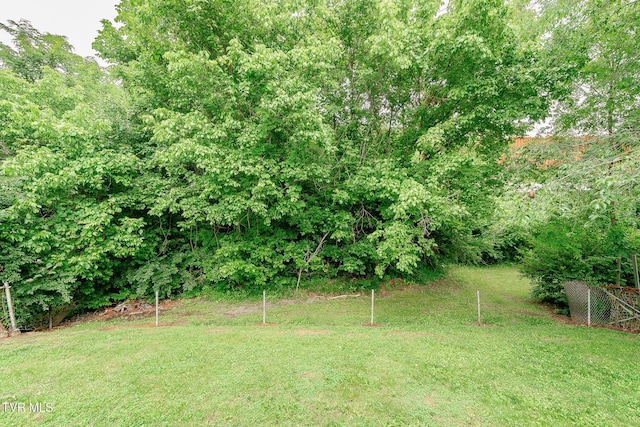 2009 Tenneva St, Kingsport, TN 37665 - view of yard