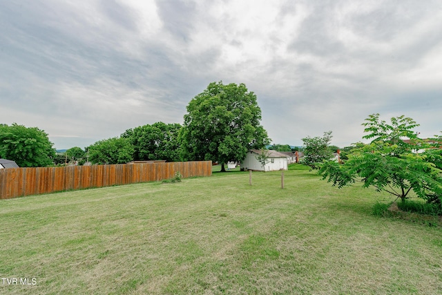 1024 Sharondale Ave, Kingsport, TN 37660 - view of yard
