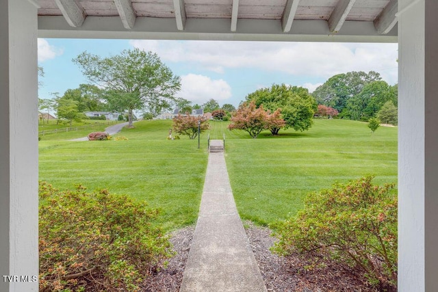 506 E 10th Ave, Johnson City, TN 37601 - photo 5