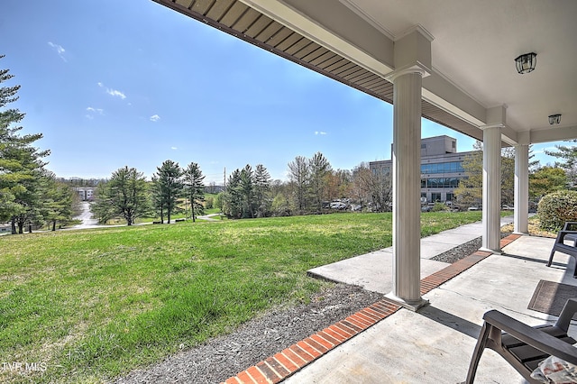 646 Meadow View Rd, Bristol, TN 37620 - view of grassy yard