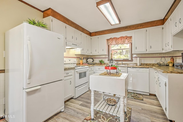 646 Meadow View Rd, Bristol, TN 37620 - kitchen featuring white appliances, under cabinet range hood, light wood finished floors, and tasteful backsplash