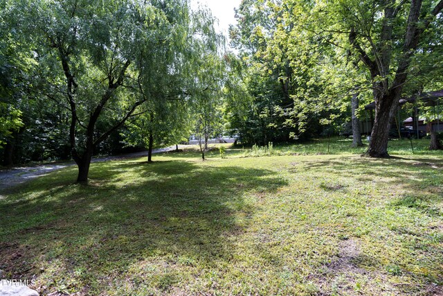 97 Davis Ln, Chuckey, TN 37641 - photo 25