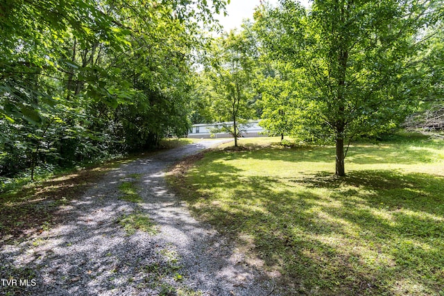 97 Davis Ln, Chuckey, TN 37641 - photo 2