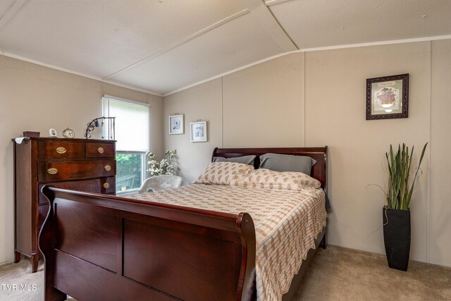 97 Davis Ln, Chuckey, TN 37641 - photo 11