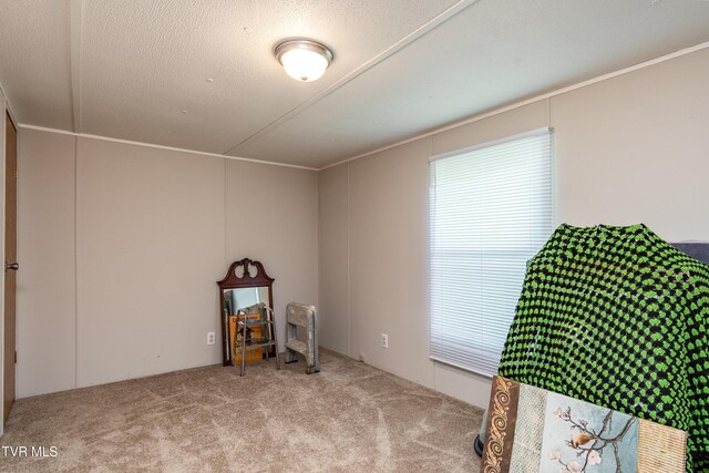 97 Davis Ln, Chuckey, TN 37641 - photo 16