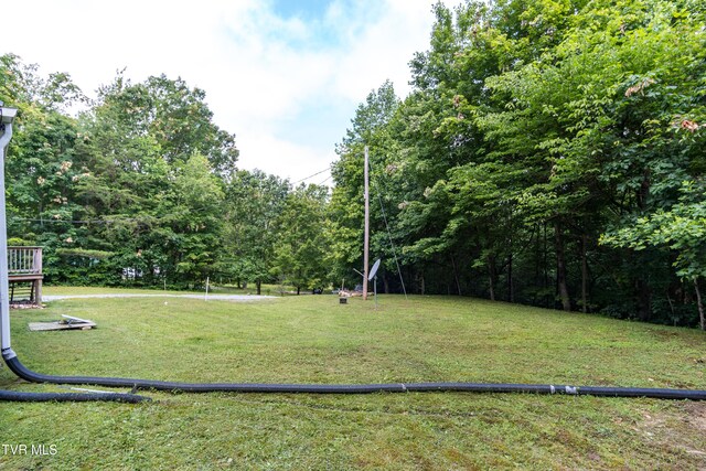 97 Davis Ln, Chuckey, TN 37641 - photo 24