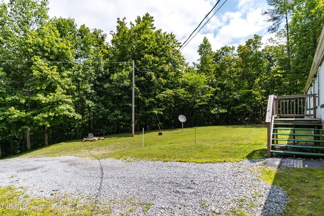 97 Davis Ln, Chuckey, TN 37641 - photo 28