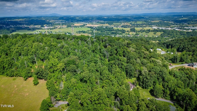 LOT41 Ridgeheights Dr, Gray, TN 37615 - photo 4