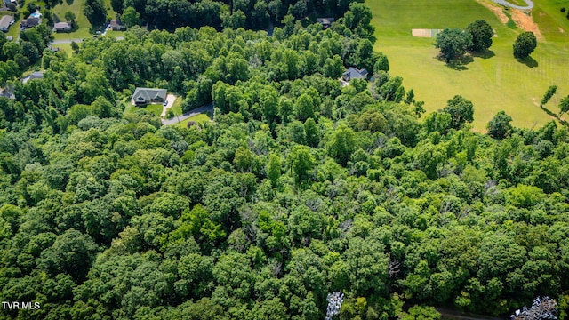 LOT41 Ridgeheights Dr, Gray, TN 37615 - photo 6