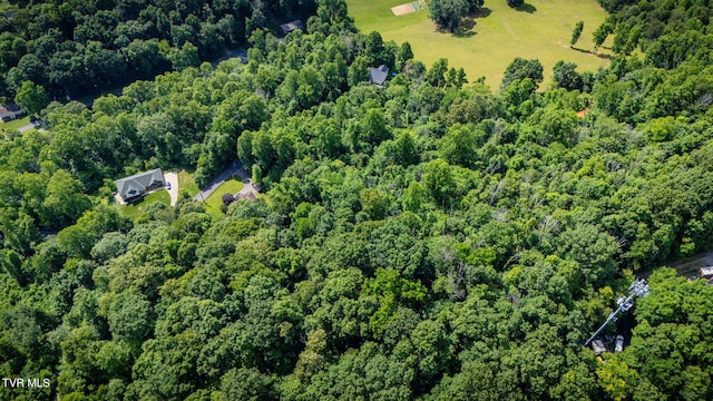 LOT41 Ridgeheights Dr, Gray, TN 37615 - photo 7