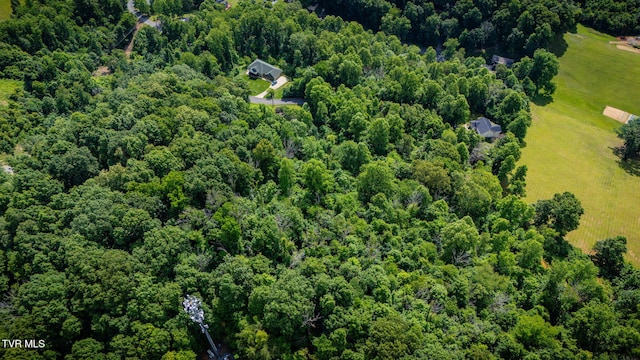 LOT41 Ridgeheights Dr, Gray, TN 37615 - photo 8