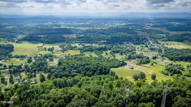 LOT41 Ridgeheights Dr, Gray, TN 37615 - photo 9
