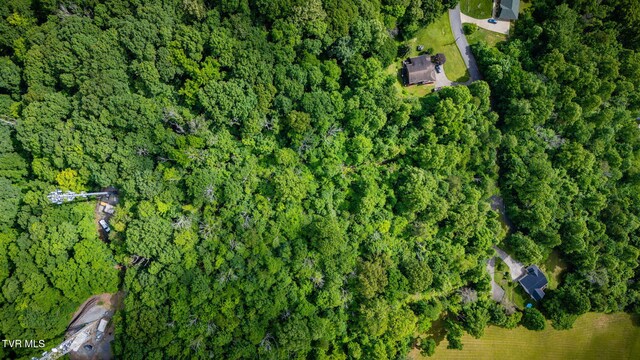 LOT41 Ridgeheights Dr, Gray, TN 37615 - photo 10