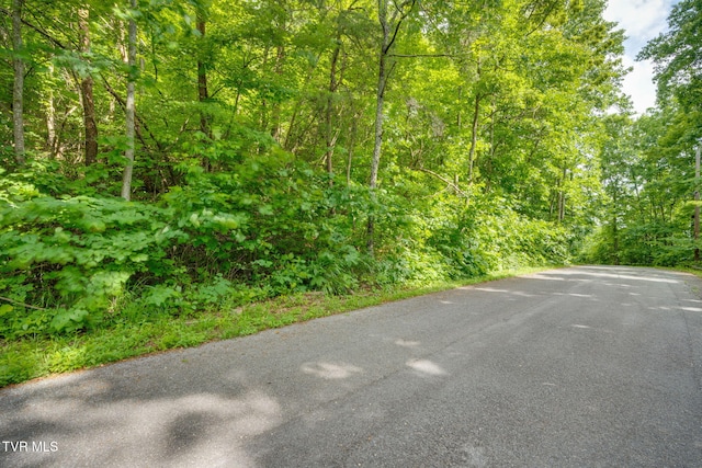 LOT41 Ridgeheights Dr, Gray, TN 37615 - photo 11
