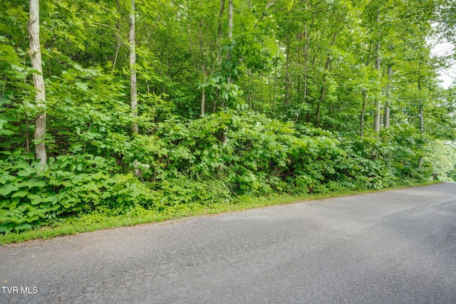 LOT41 Ridgeheights Dr, Gray, TN 37615 - photo 12