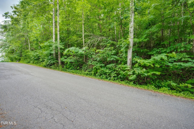 LOT41 Ridgeheights Dr, Gray, TN 37615 - photo 13