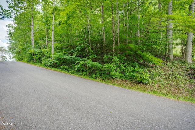 LOT41 Ridgeheights Dr, Gray, TN 37615 - photo 14