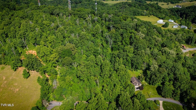 LOT41 Ridgeheights Dr, Gray, TN 37615 - photo 15