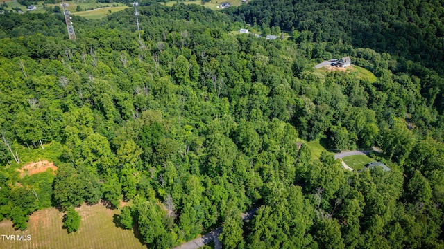 LOT41 Ridgeheights Dr, Gray, TN 37615 - photo 16