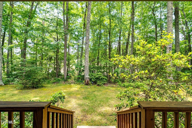 244 Markland Hill Rd, Roan Mountain, TN 37687 - photo 11