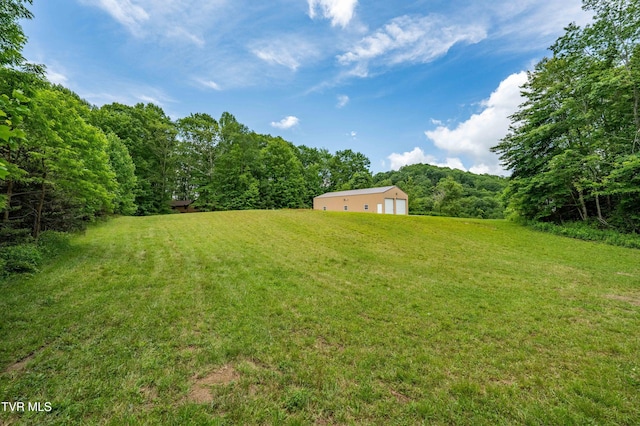 244 Markland Hill Rd, Roan Mountain, TN 37687 - photo 6