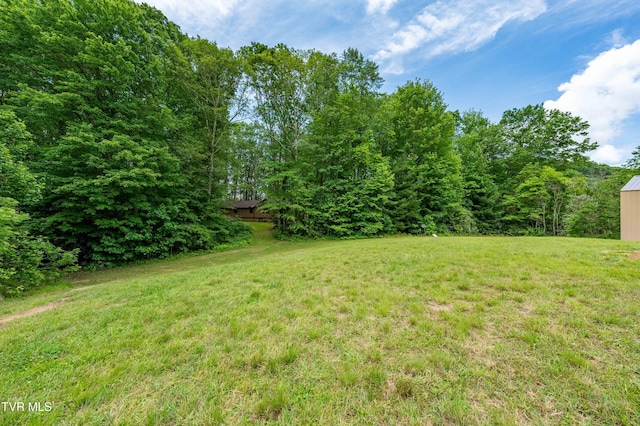 244 Markland Hill Rd, Roan Mountain, TN 37687 - photo 7