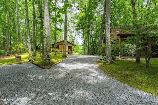 244 Markland Hill Rd, Roan Mountain, TN 37687 - photo 3