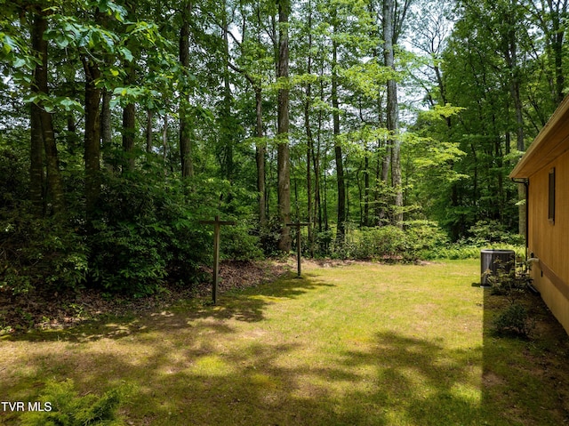 244 Markland Hill Rd, Roan Mountain, TN 37687 - photo 60