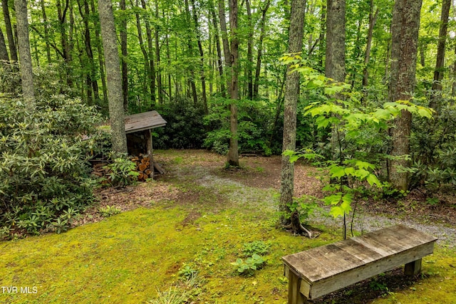 244 Markland Hill Rd, Roan Mountain, TN 37687 - photo 65