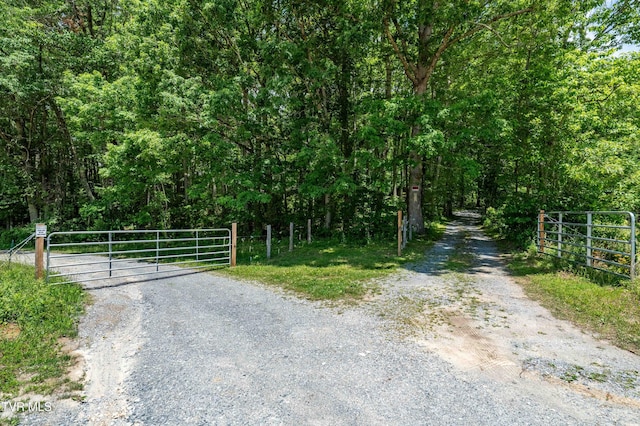 244 Markland Hill Rd, Roan Mountain, TN 37687 - photo 67