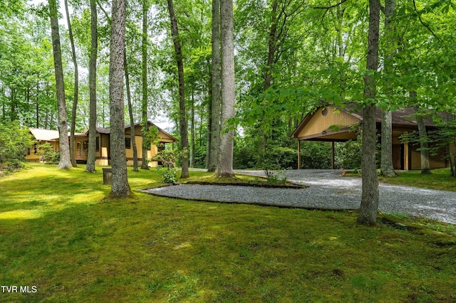 244 Markland Hill Rd, Roan Mountain, TN 37687 - photo 66