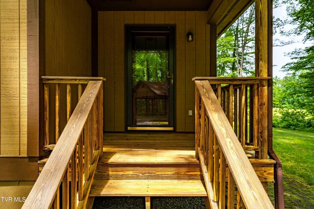 244 Markland Hill Rd, Roan Mountain, TN 37687 - photo 50