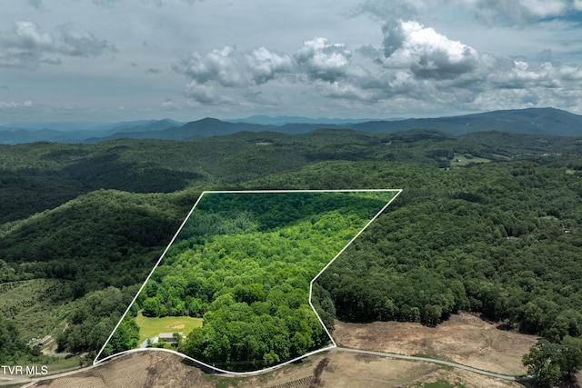244 Markland Hill Rd, Roan Mountain, TN 37687 - photo 70