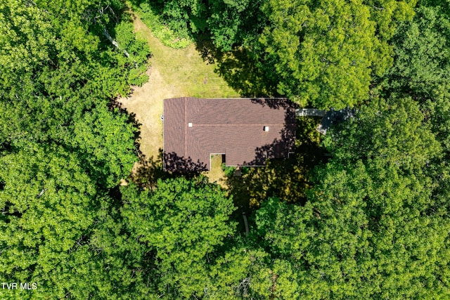 244 Markland Hill Rd, Roan Mountain, TN 37687 - photo 68
