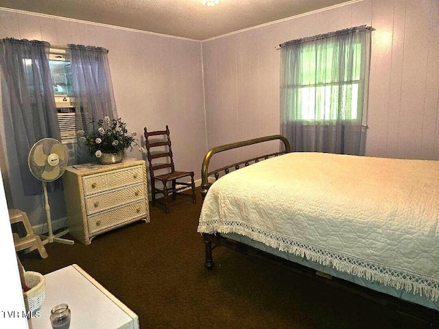 919 Coeburn Rd, Wise, VA 24293 - bedroom with crown molding and dark carpet