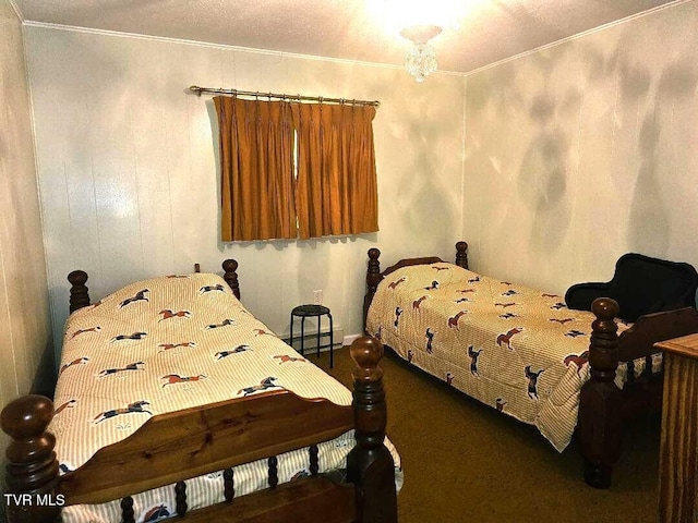 919 Coeburn Rd, Wise, VA 24293 - bedroom featuring ornamental molding, dark carpet, and a baseboard heating unit