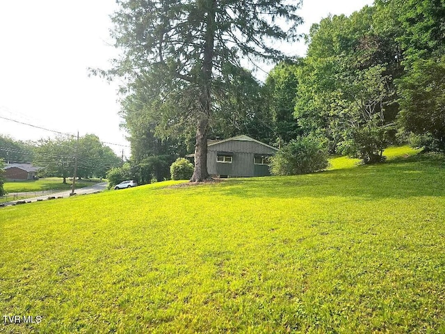 919 Coeburn Rd, Wise, VA 24293 - view of green lawn