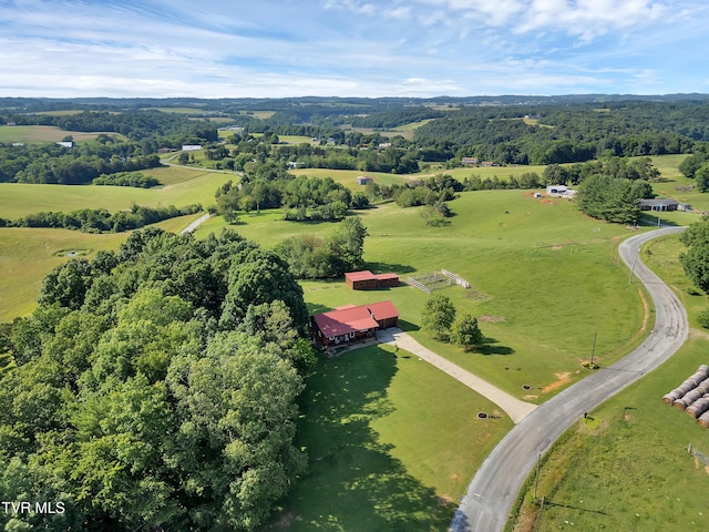 902 S Mill Rd, Greeneville, TN 37743 - photo 50