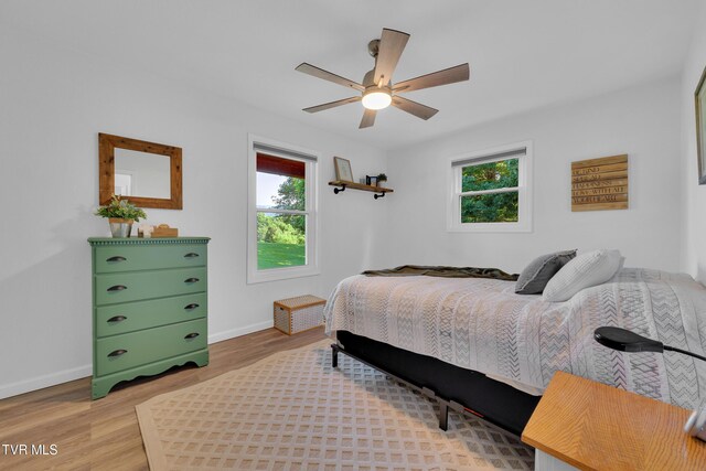 902 S Mill Rd, Greeneville, TN 37743 - photo 31