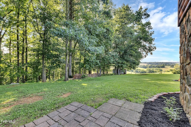 902 S Mill Rd, Greeneville, TN 37743 - photo 46