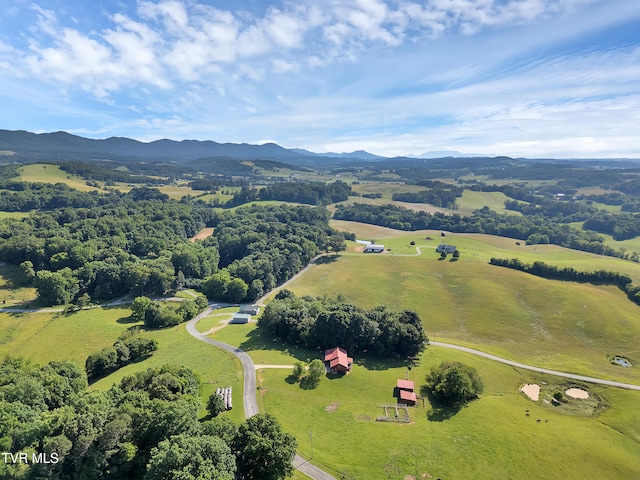 902 S Mill Rd, Greeneville, TN 37743 - photo 49