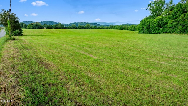 185 Lester Snapp Rd, Limestone, TN 37681
