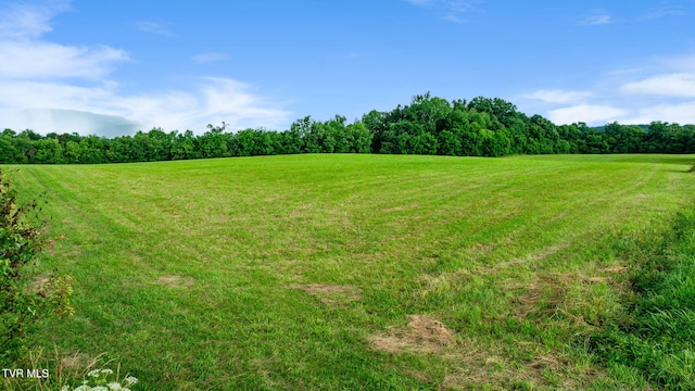 185 Lester Snapp Rd, Limestone, TN 37681