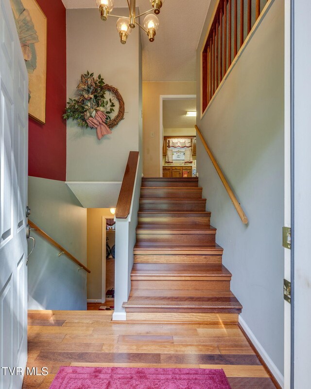609 Scioto Rd, Unicoi, TN 37692 - photo 5