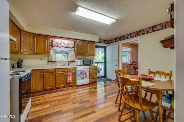 609 Scioto Rd, Unicoi, TN 37692 - photo 13