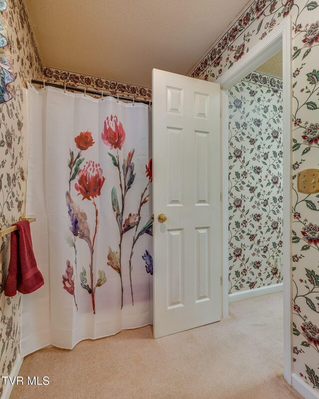 609 Scioto Rd, Unicoi, TN 37692 - photo 23