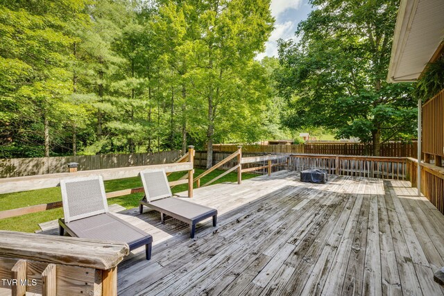 609 Scioto Rd, Unicoi, TN 37692 - photo 39