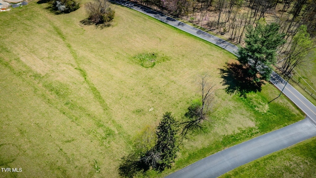 575 Sugar Hollow Rd, Piney Flats, TN 37686 - photo 1
